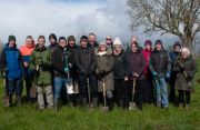 Team plants 300 trees across two new groves at 15-hectare Peggs Pear Wood in the National Forest.